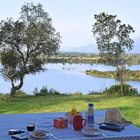 Locations "Chezchristine Aleria" A Aleria Villa Екстериор снимка