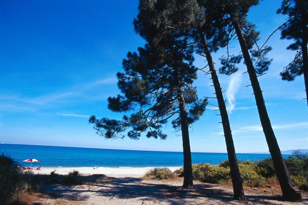 Locations "Chezchristine Aleria" A Aleria Villa Екстериор снимка