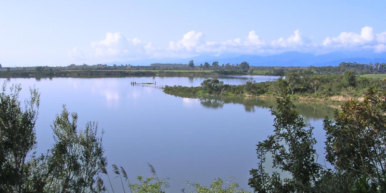 Locations "Chezchristine Aleria" A Aleria Villa Екстериор снимка